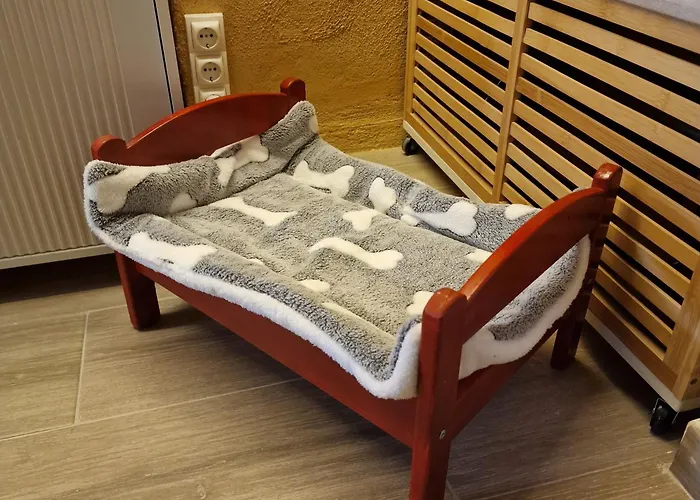 Casa Abuelos 펜션 *